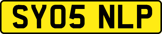 SY05NLP