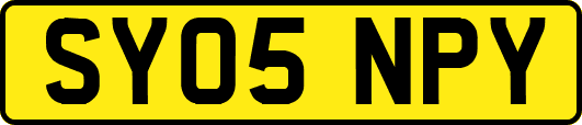 SY05NPY