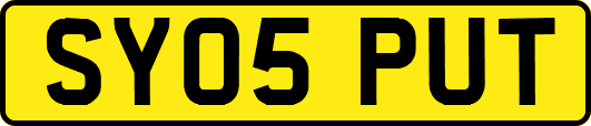 SY05PUT