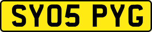 SY05PYG