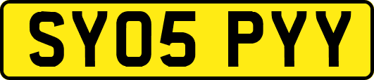 SY05PYY