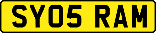 SY05RAM
