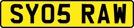 SY05RAW