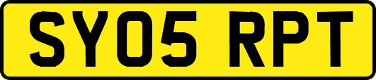 SY05RPT