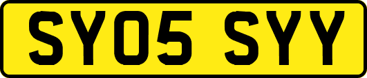 SY05SYY