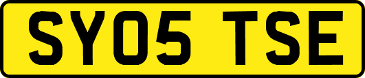 SY05TSE