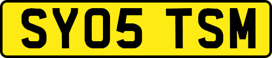 SY05TSM