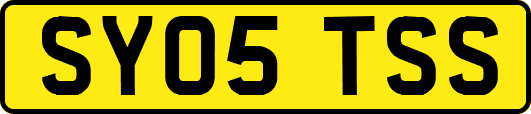 SY05TSS