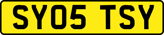 SY05TSY
