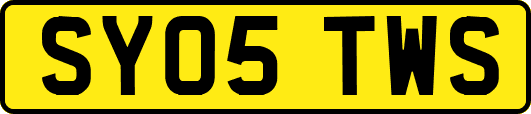 SY05TWS