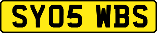 SY05WBS