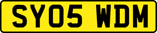 SY05WDM