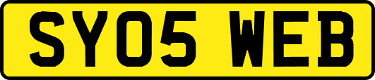 SY05WEB