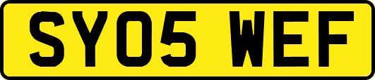 SY05WEF