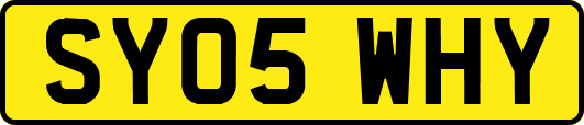 SY05WHY
