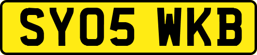 SY05WKB