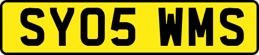SY05WMS
