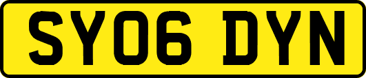 SY06DYN