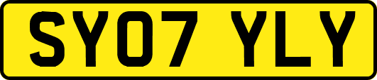 SY07YLY