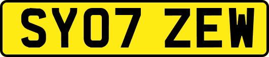 SY07ZEW