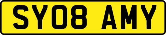 SY08AMY