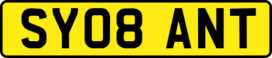 SY08ANT