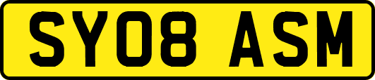 SY08ASM