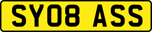 SY08ASS