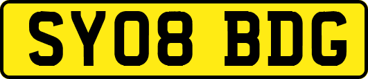 SY08BDG