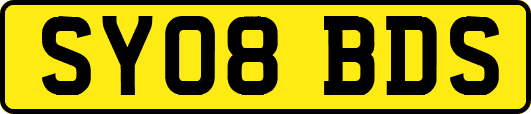 SY08BDS