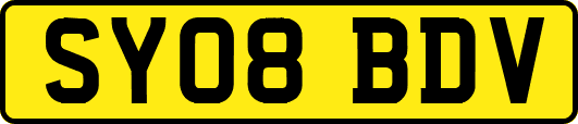 SY08BDV