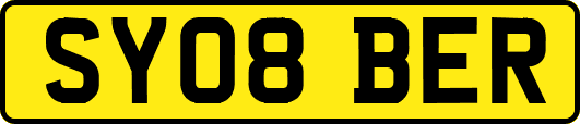 SY08BER
