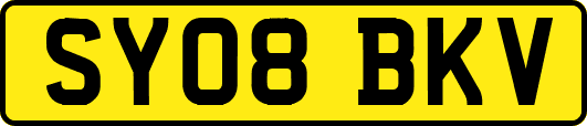 SY08BKV