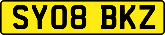 SY08BKZ