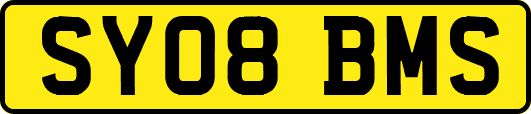 SY08BMS