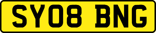SY08BNG