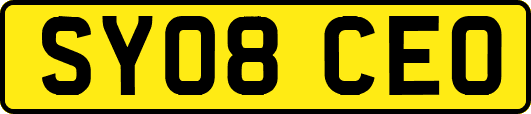 SY08CEO