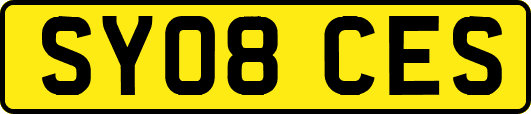 SY08CES