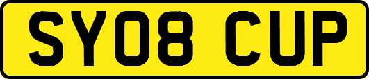 SY08CUP