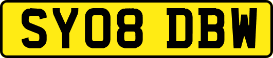 SY08DBW