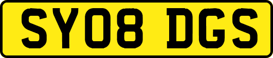 SY08DGS