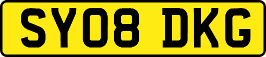 SY08DKG