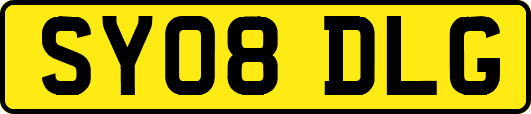 SY08DLG