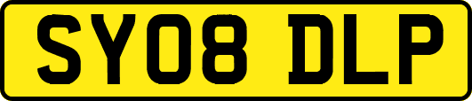 SY08DLP