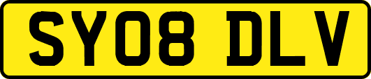 SY08DLV