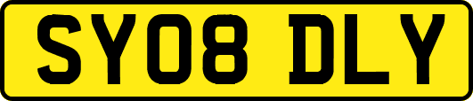 SY08DLY