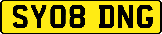 SY08DNG