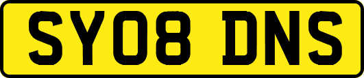SY08DNS