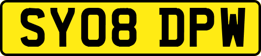 SY08DPW
