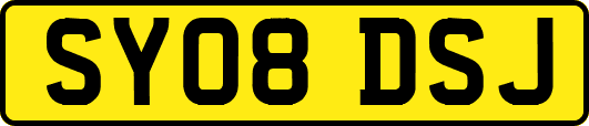 SY08DSJ